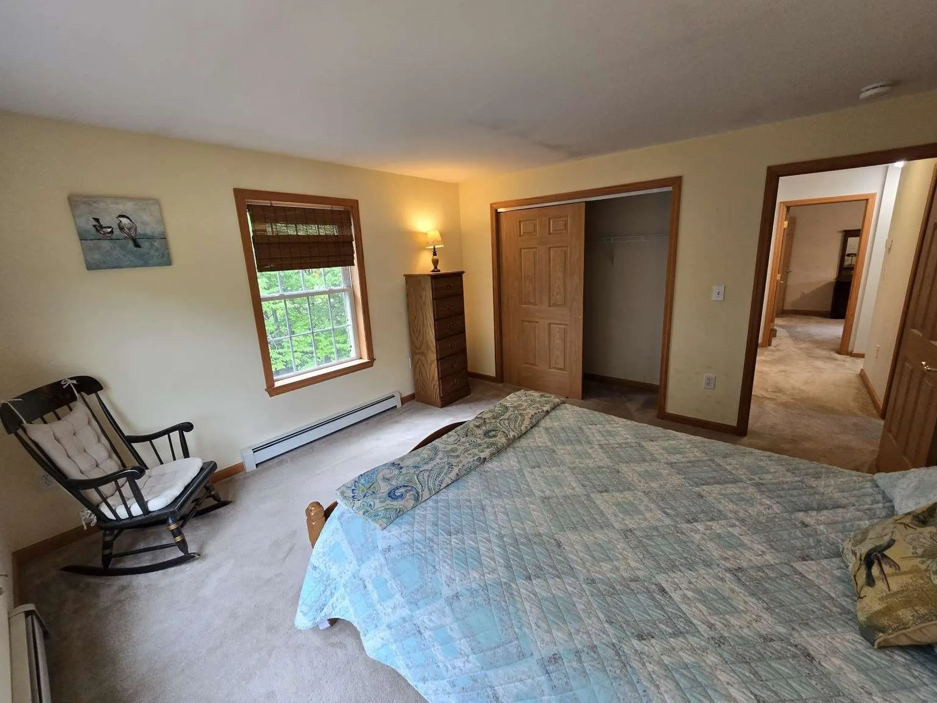 164 Pine View Lane Cavendish VT 05153