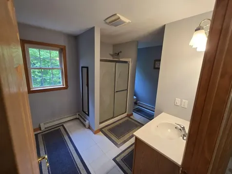 164 Pine View Lane Cavendish VT 05153