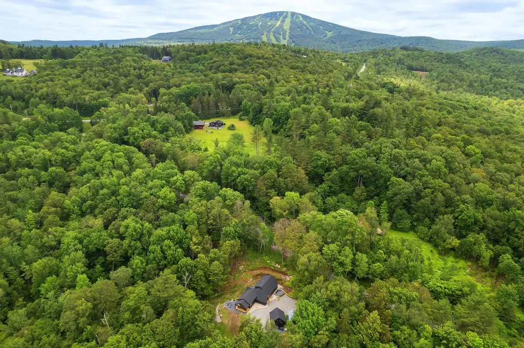 65 Lower Taylor Hill Road Winhall VT 05340