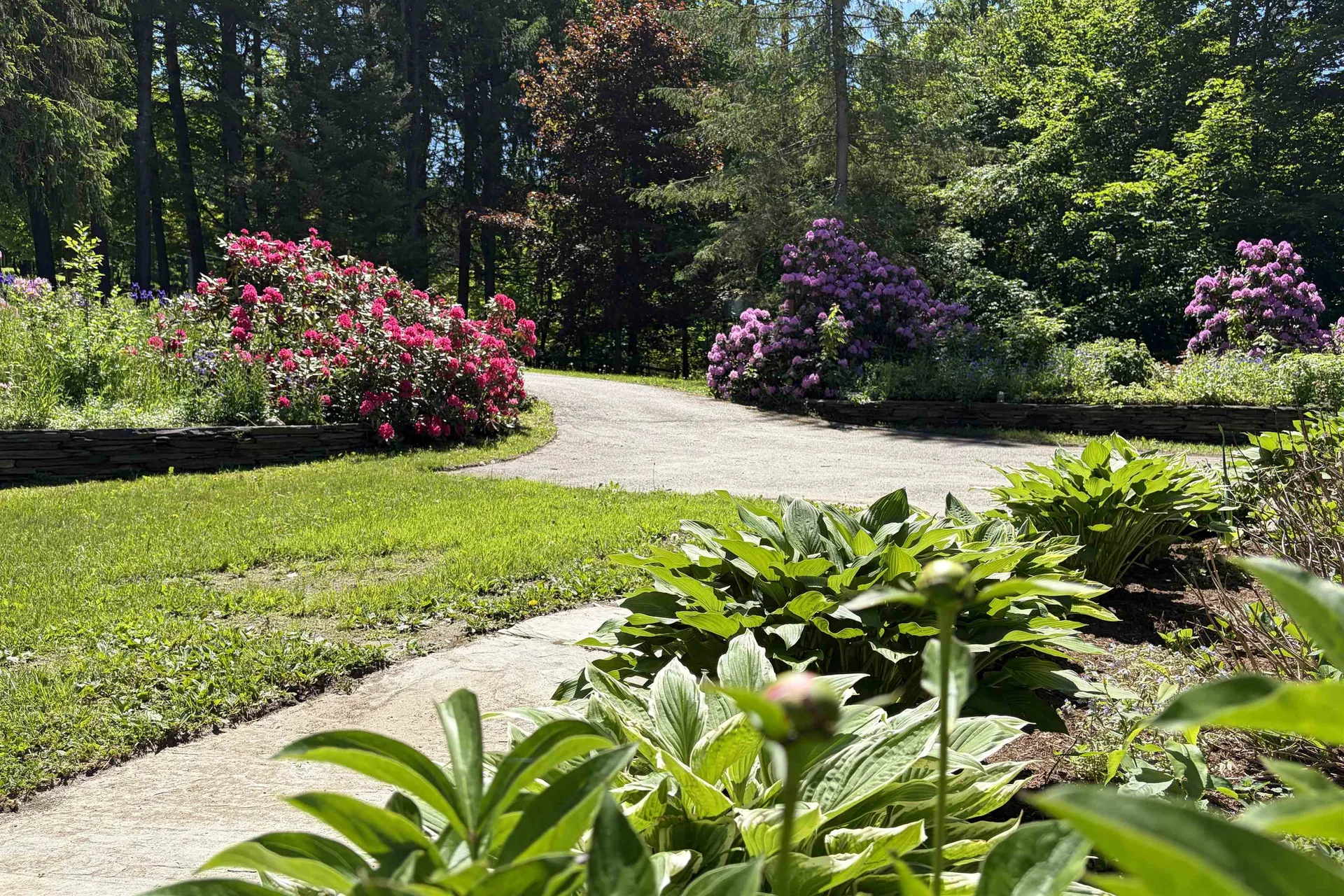 2206 Elmore Mountain Road Elmore VT 05661