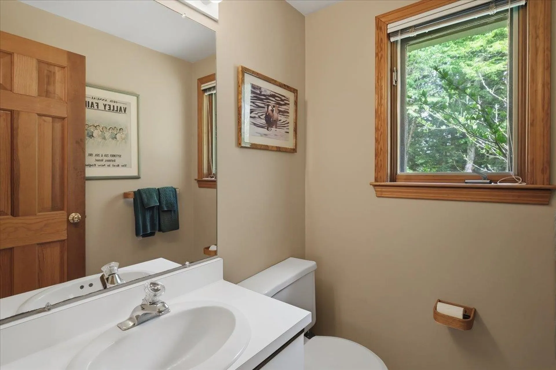 177 Alwin Lane Jamaica VT 05343