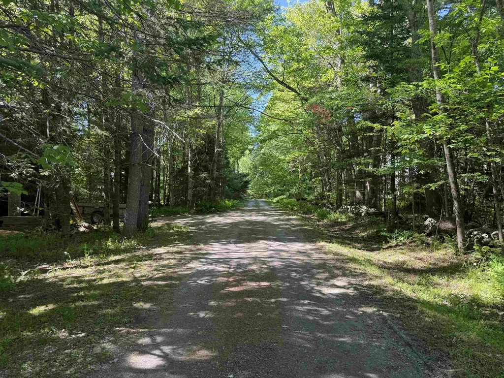 386 Howland Farm Road Mount Holly VT 05758
