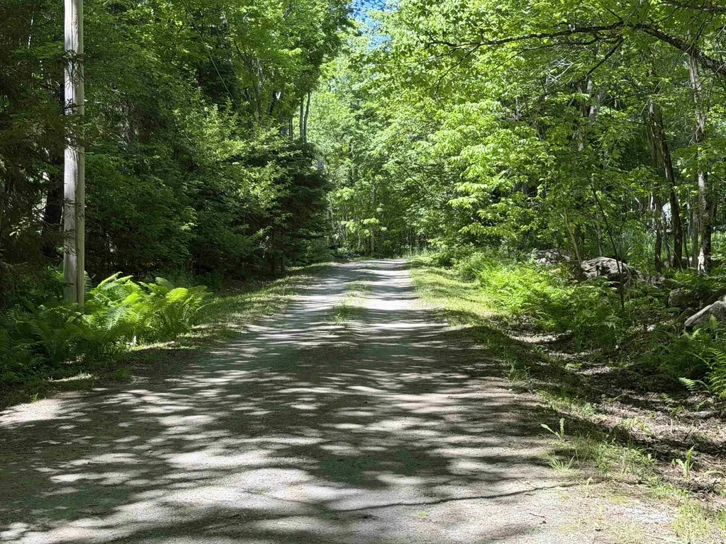 386 Howland Farm Road Mount Holly VT 05758
