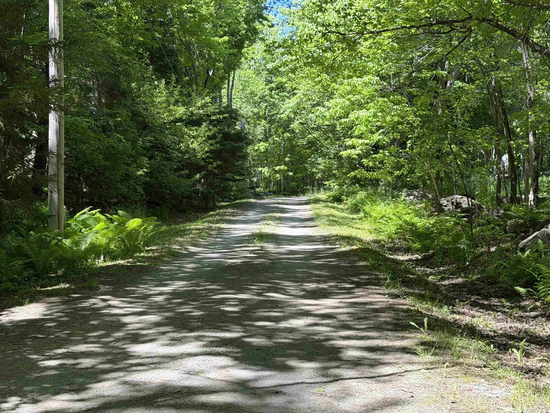 386 Howland Farm Road Mount Holly VT 05758