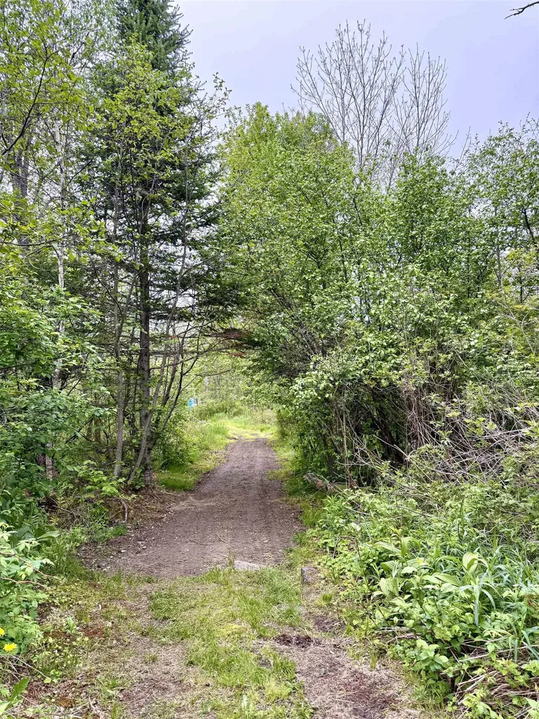205 Whipple Road Jefferson NH 03583