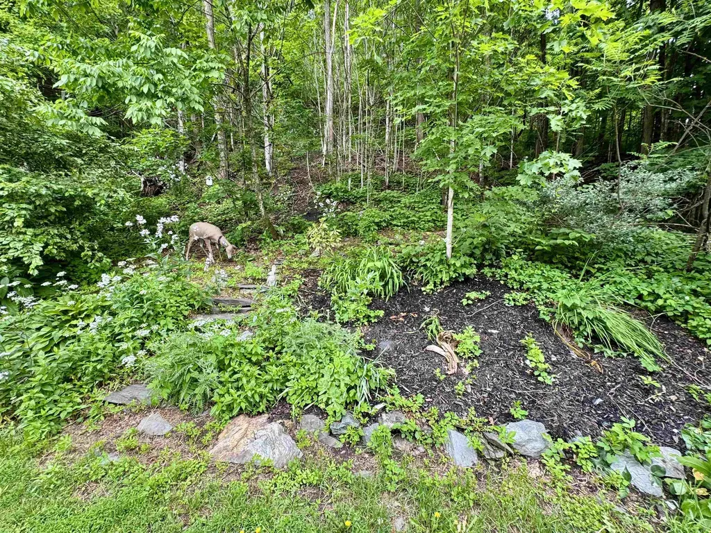 11 Water Street Wells River VT 05081