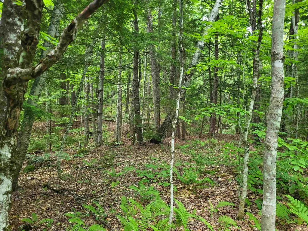 269 Knowles Hill Road Alexandria NH 03222