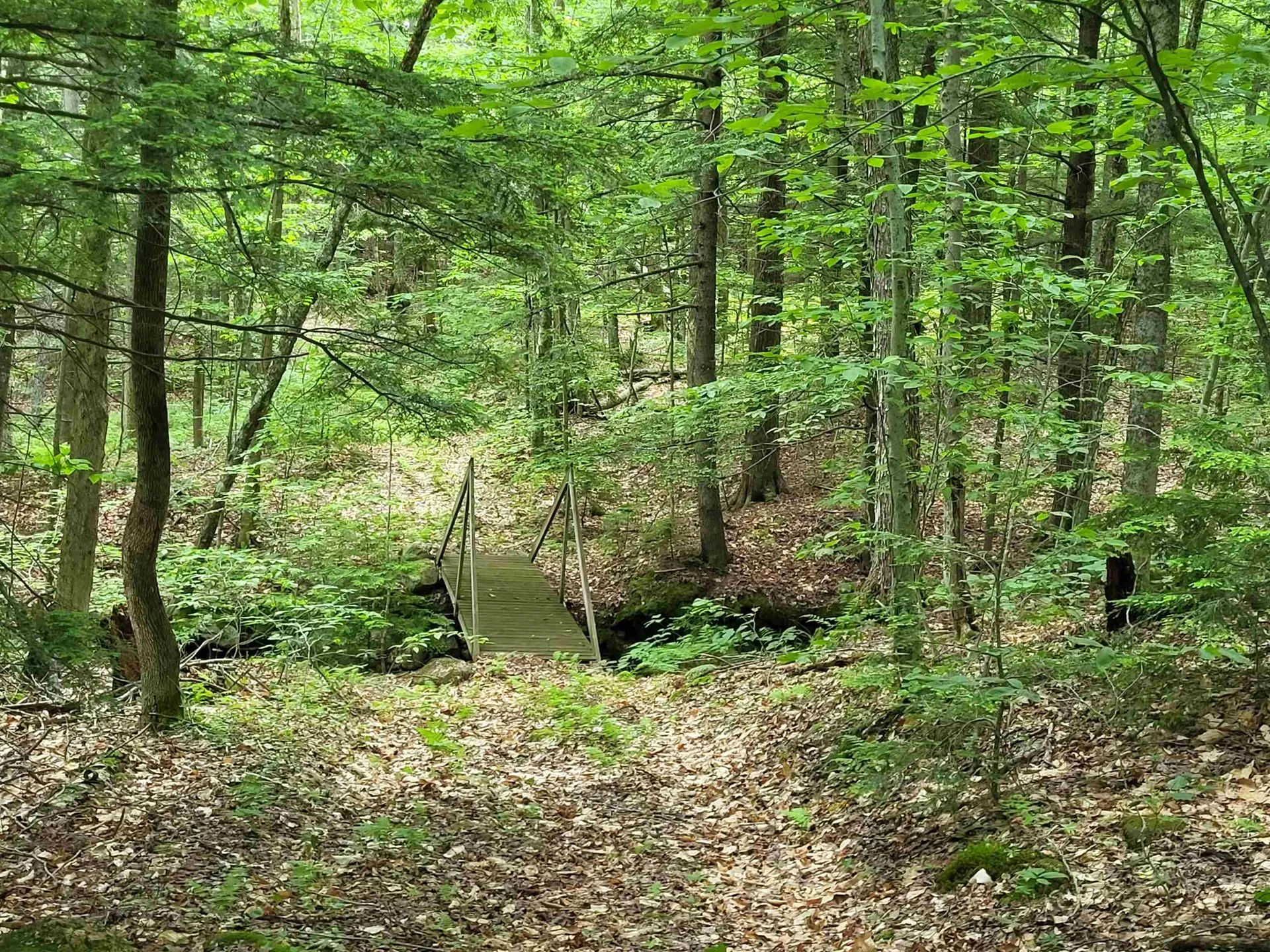 269 Knowles Hill Road Alexandria NH 03222
