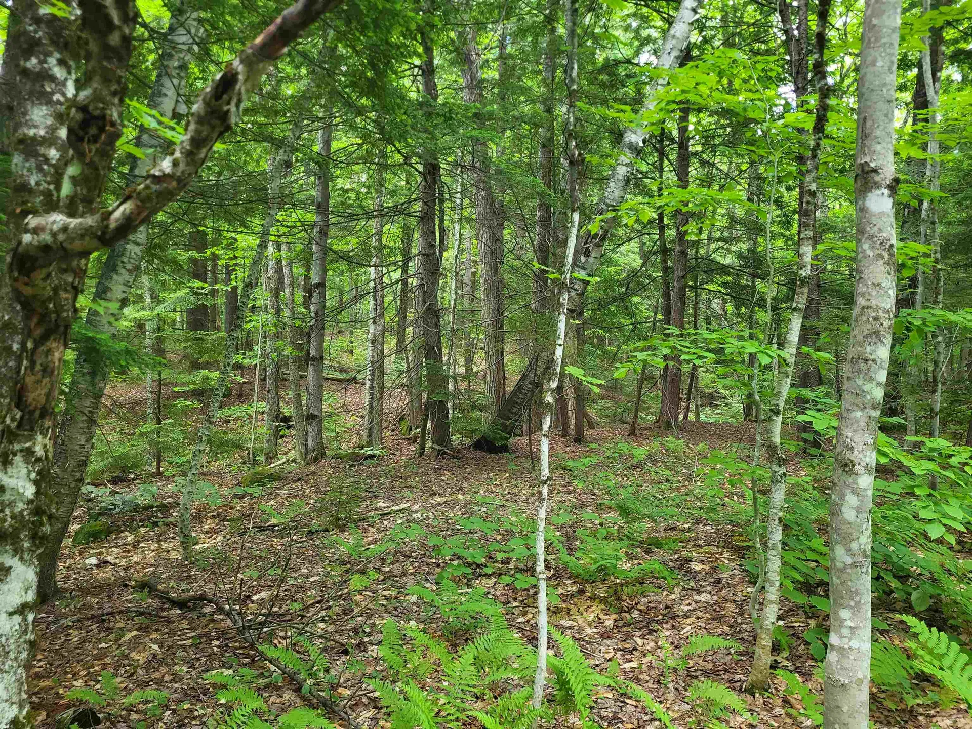 269 Knowles Hill Road Alexandria NH 03222