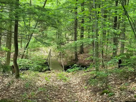 269 Knowles Hill Road Alexandria NH 03222