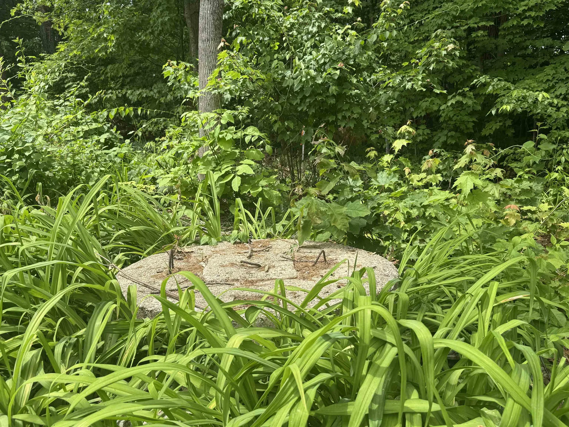 3 Choate Hill Road Kingston NH 03848