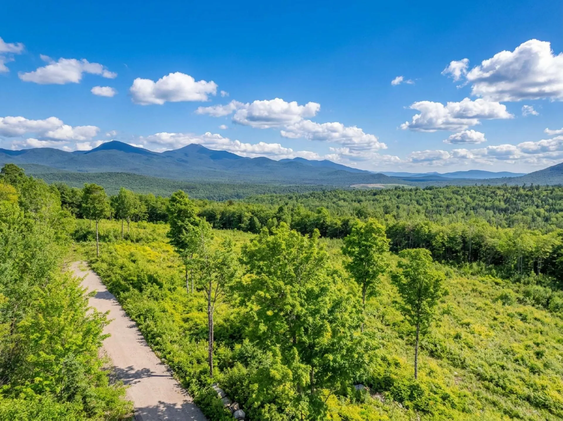 289 & 291 Ledgewood Drive Bethlehem NH 03574