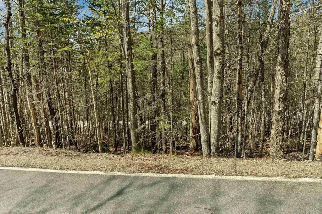 109 Snows Mountain Road Waterville Valley NH 03215