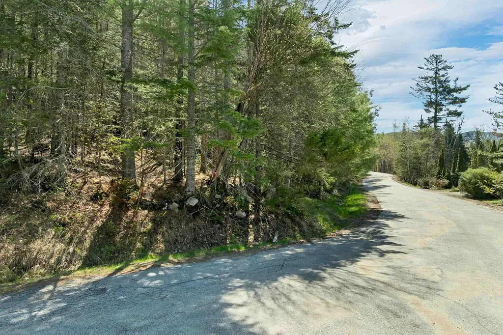 109 Snows Mountain Road Waterville Valley NH 03215