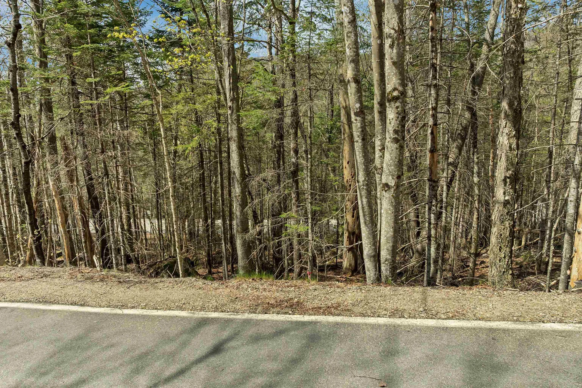 109 Snows Mountain Road Waterville Valley NH 03215