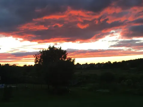 803 Nowland Farm Road South Burlington VT 05403