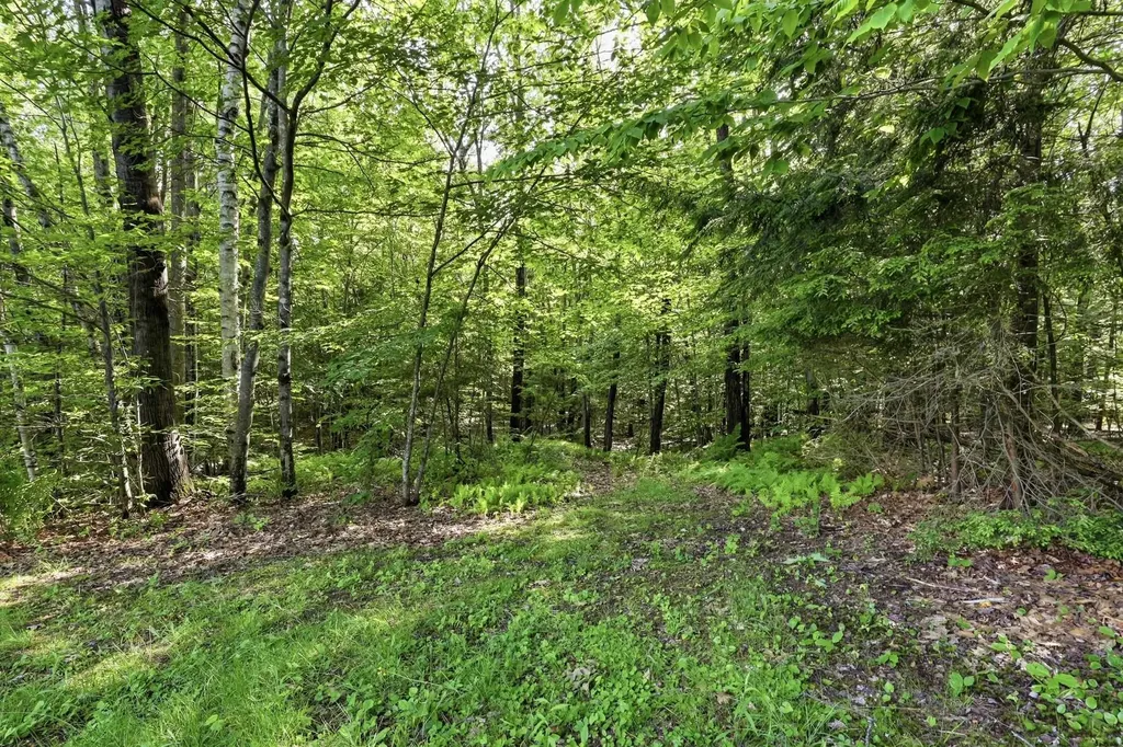 224 King Road Alexandria NH 03222