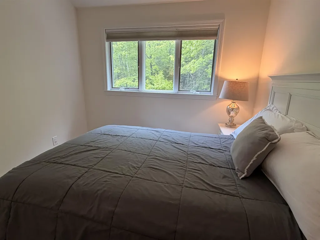 16A Snowtree Lane Dover VT 05356