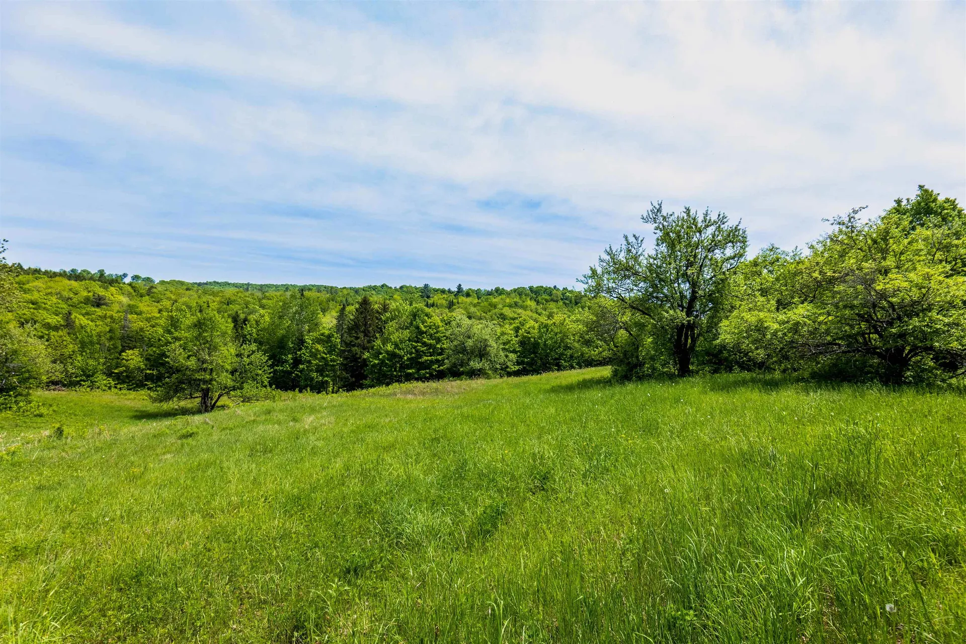 88 Van Dyke Road Strafford VT 05072