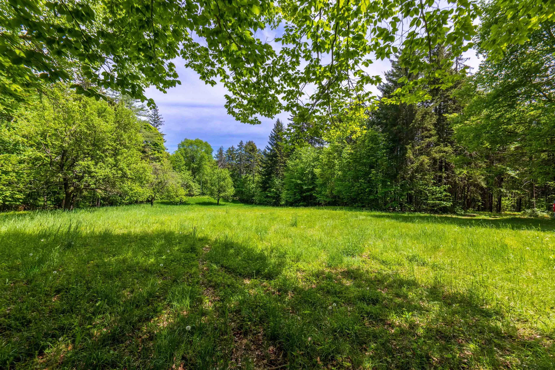 88 Van Dyke Road Strafford VT 05072