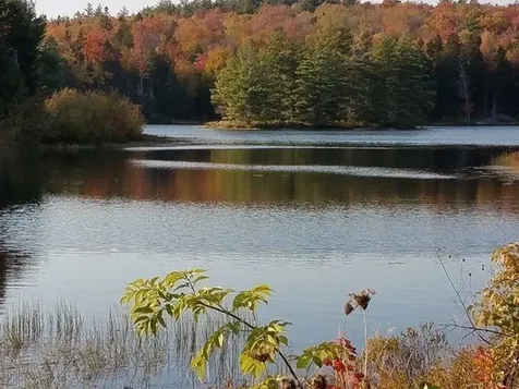 3524 Deer Park Road Halifax VT 05358