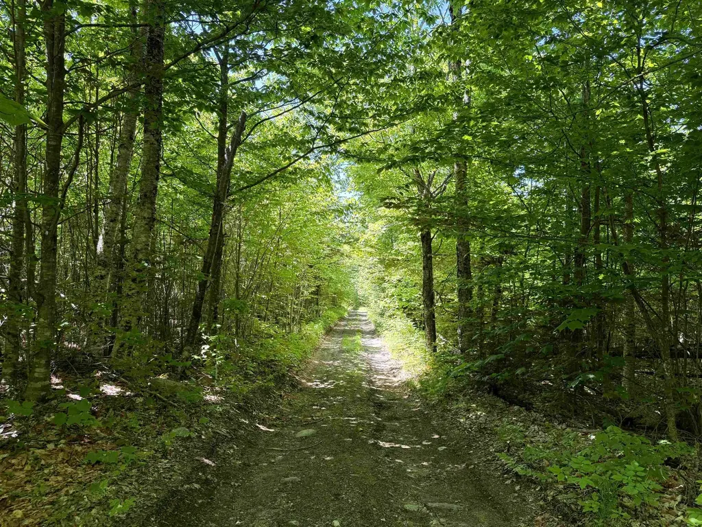 0 Georges Boulevard East Haven VT 05837