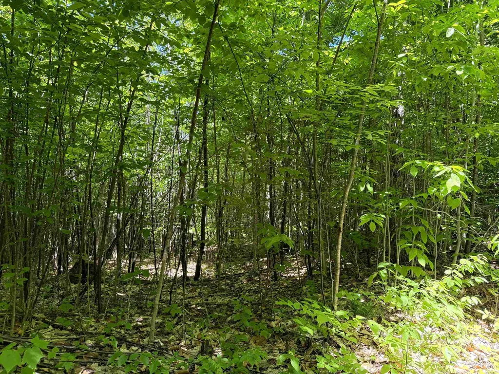 0 Georges Boulevard East Haven VT 05837