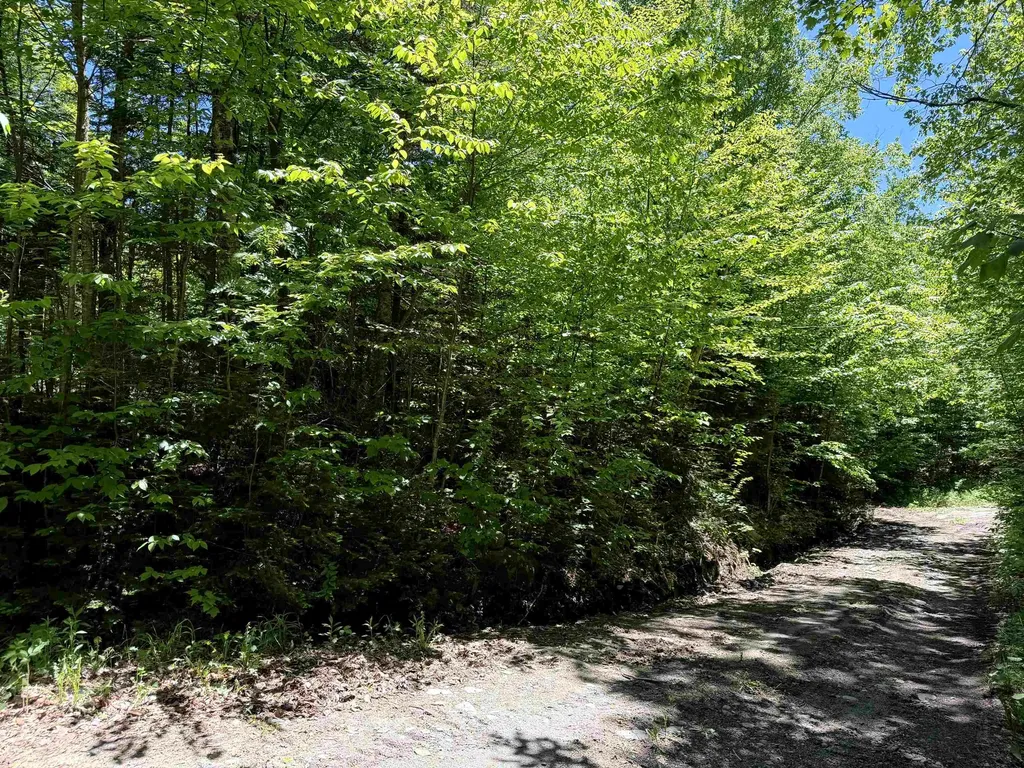 0 Georges Boulevard East Haven VT 05837