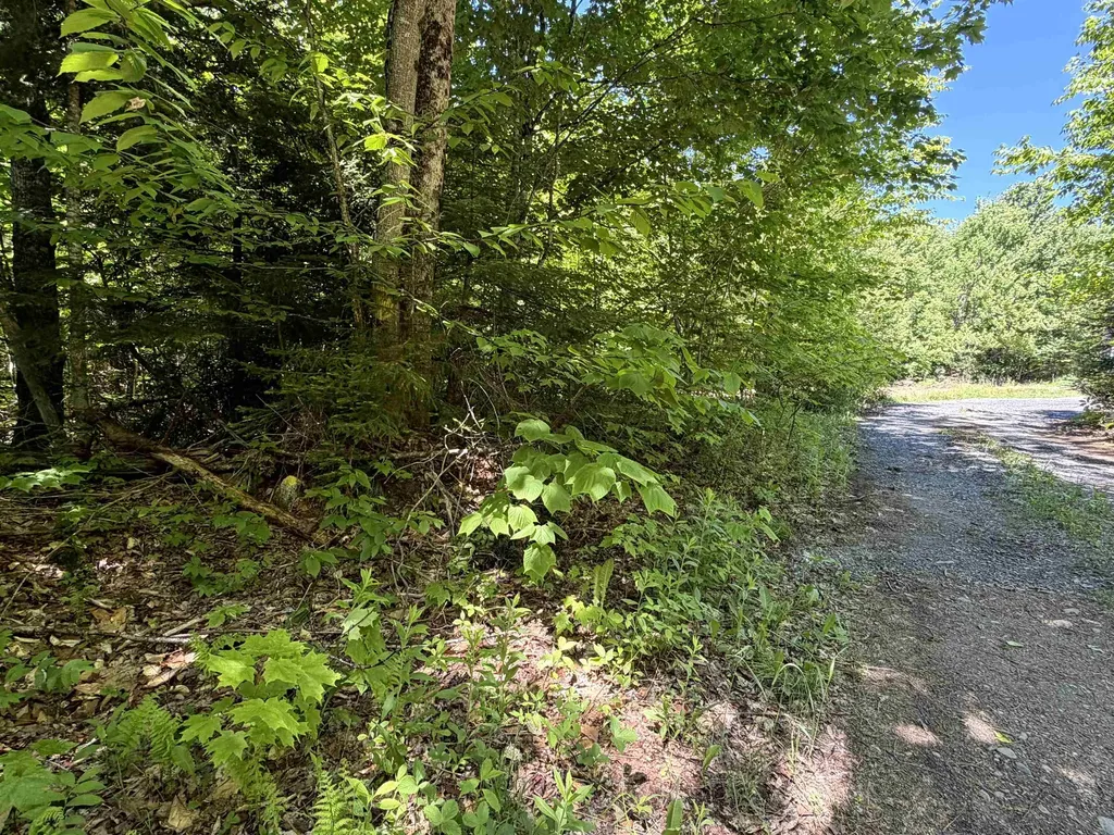 0 Georges Boulevard East Haven VT 05837
