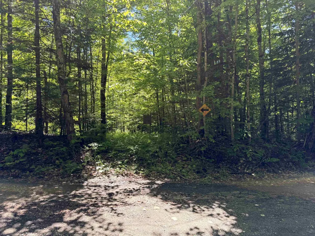 0 Georges Boulevard East Haven VT 05837