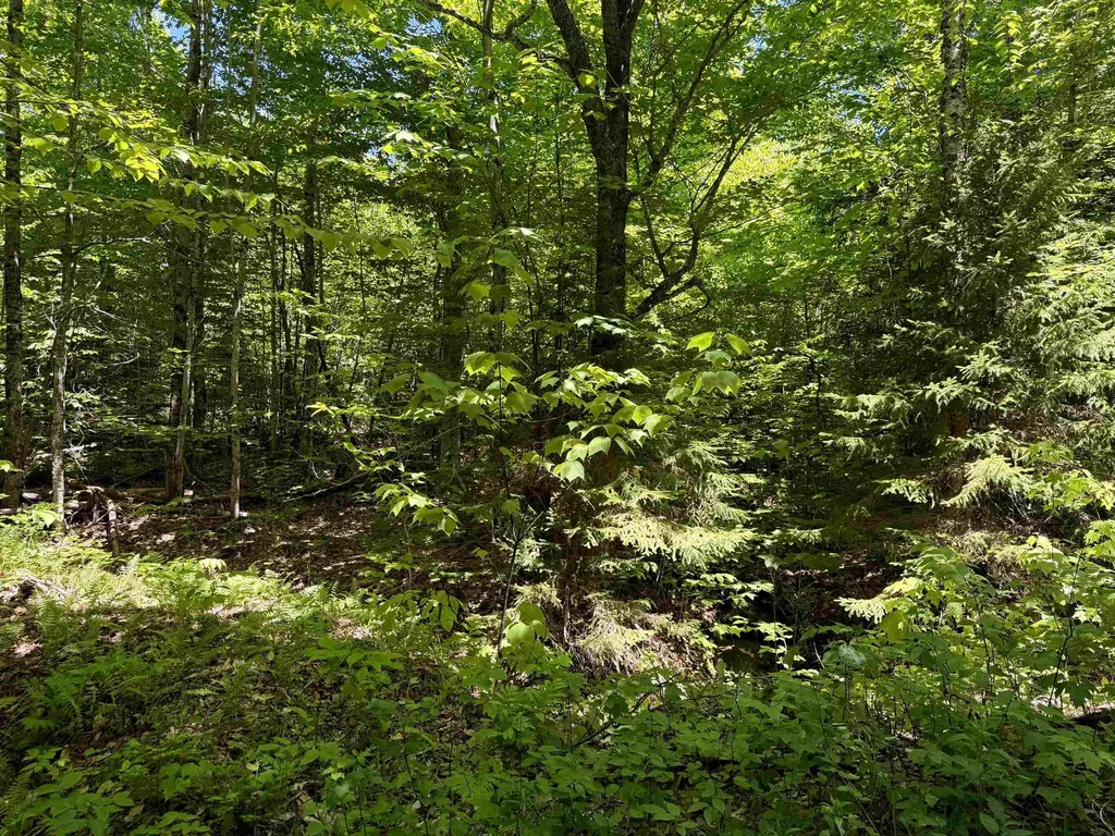 0 Georges Boulevard East Haven VT 05837