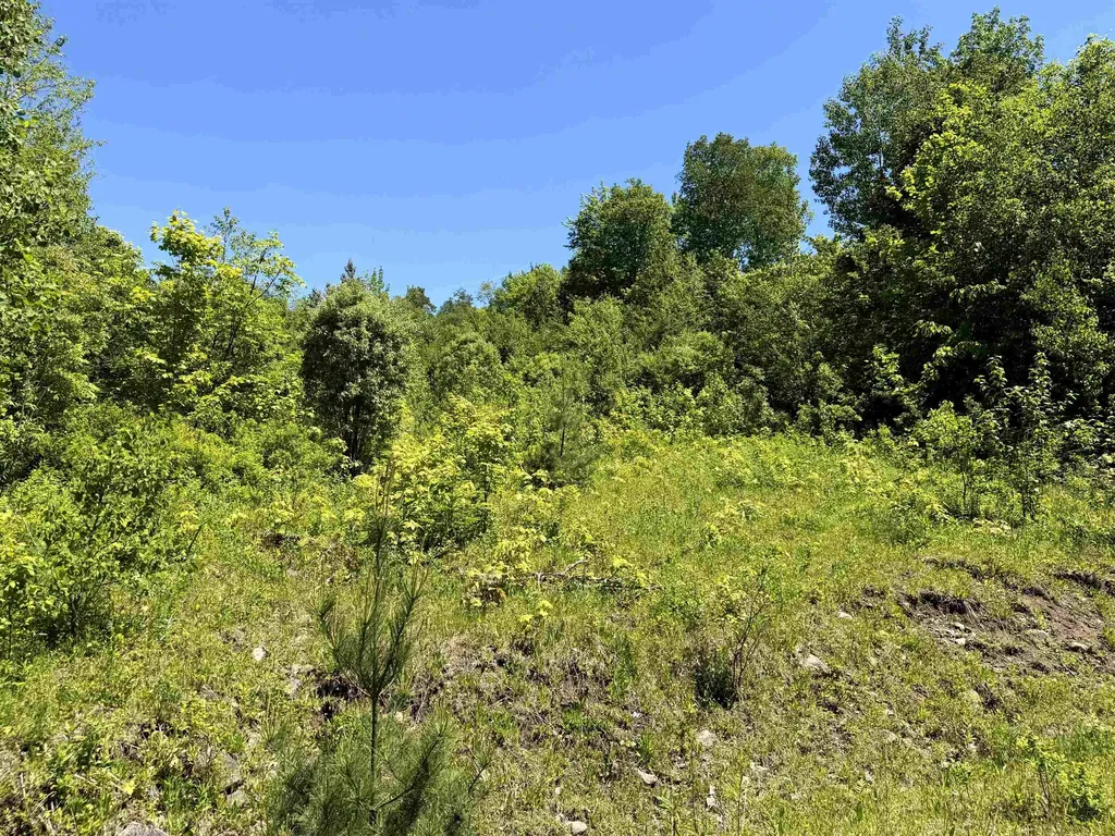 0 Georges Boulevard East Haven VT 05837