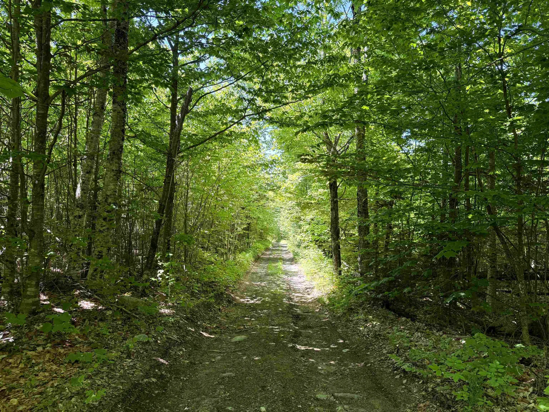0 Georges Boulevard East Haven VT 05837