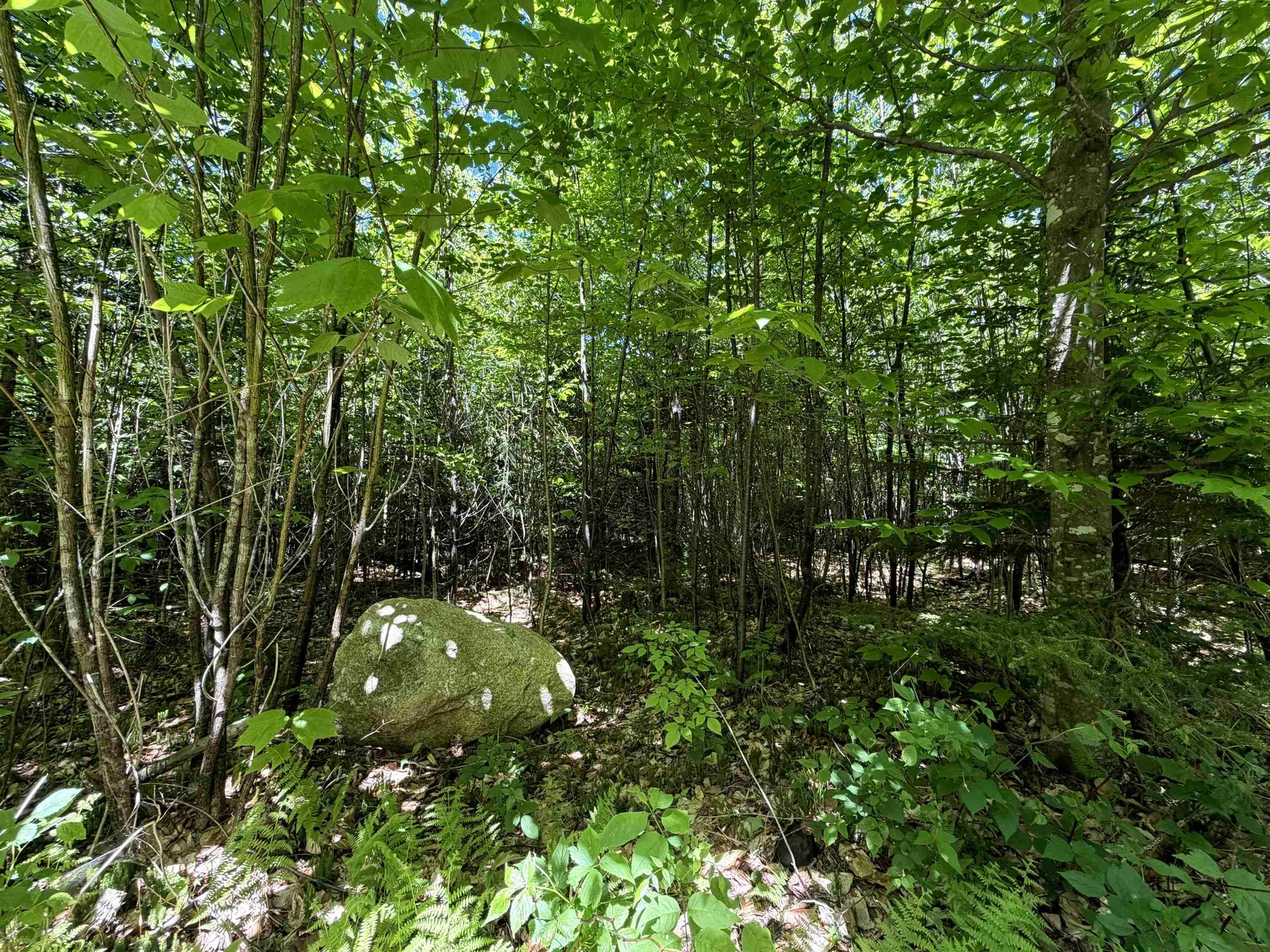 0 Georges Boulevard East Haven VT 05837