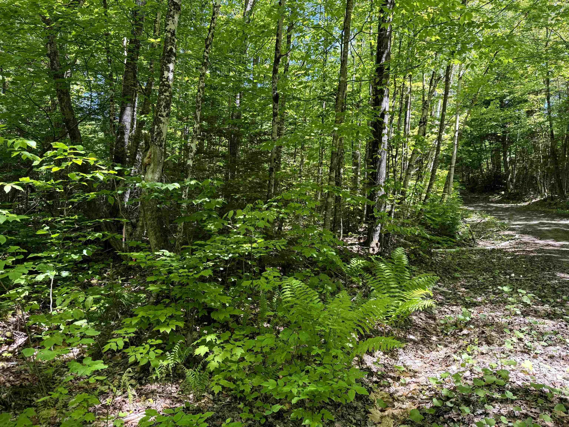 0 Georges Boulevard East Haven VT 05837