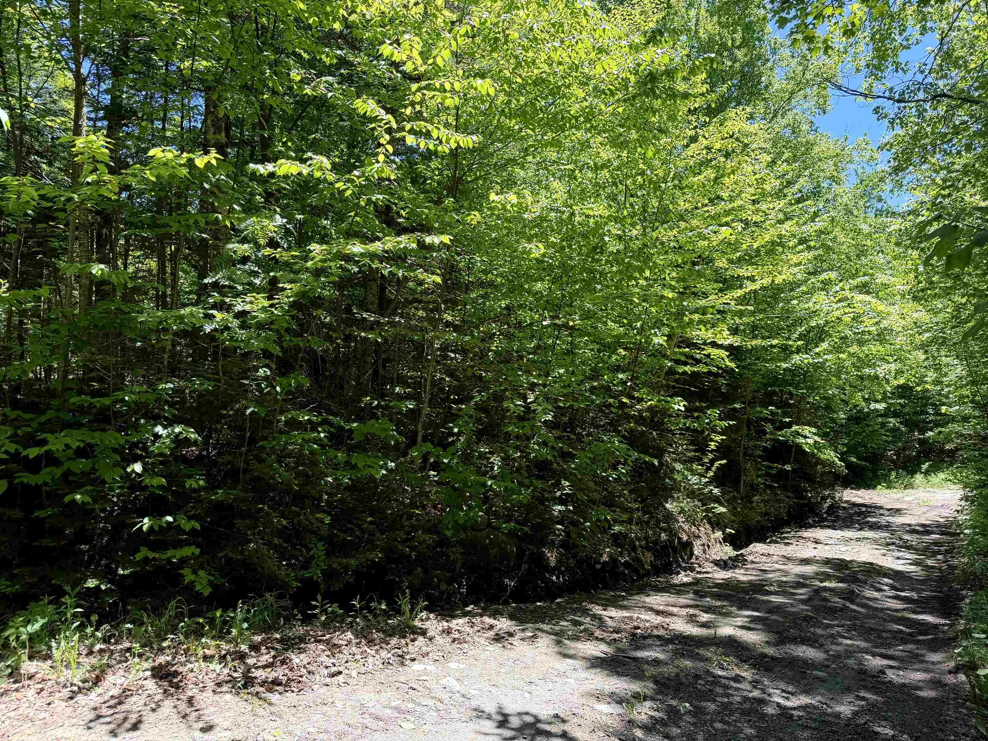0 Georges Boulevard East Haven VT 05837