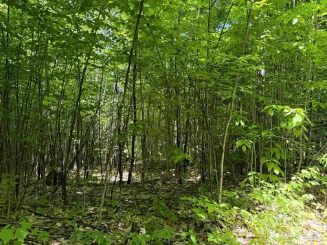 0 Georges Boulevard East Haven VT 05837
