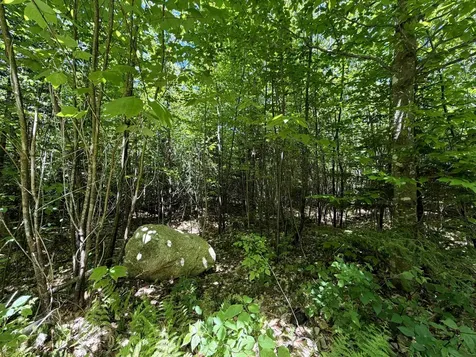 0 Georges Boulevard East Haven VT 05837