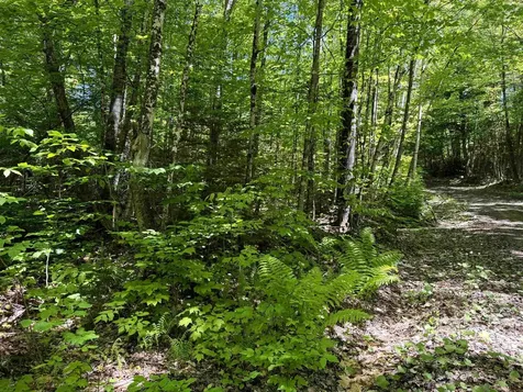 0 Georges Boulevard East Haven VT 05837
