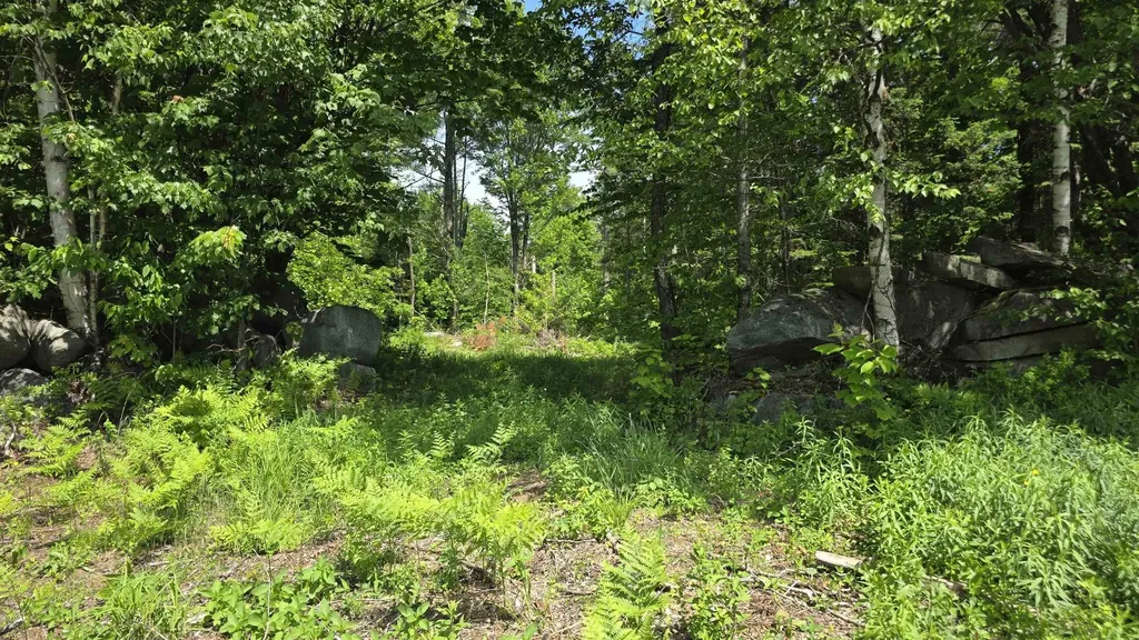 91 Venheim Road Lunenburg VT 05906