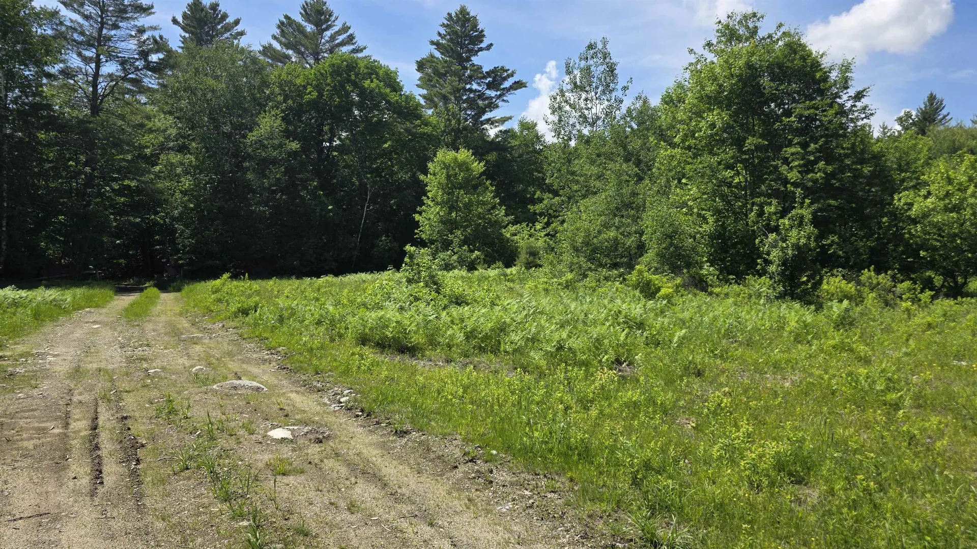 91 Venheim Road Lunenburg VT 05906