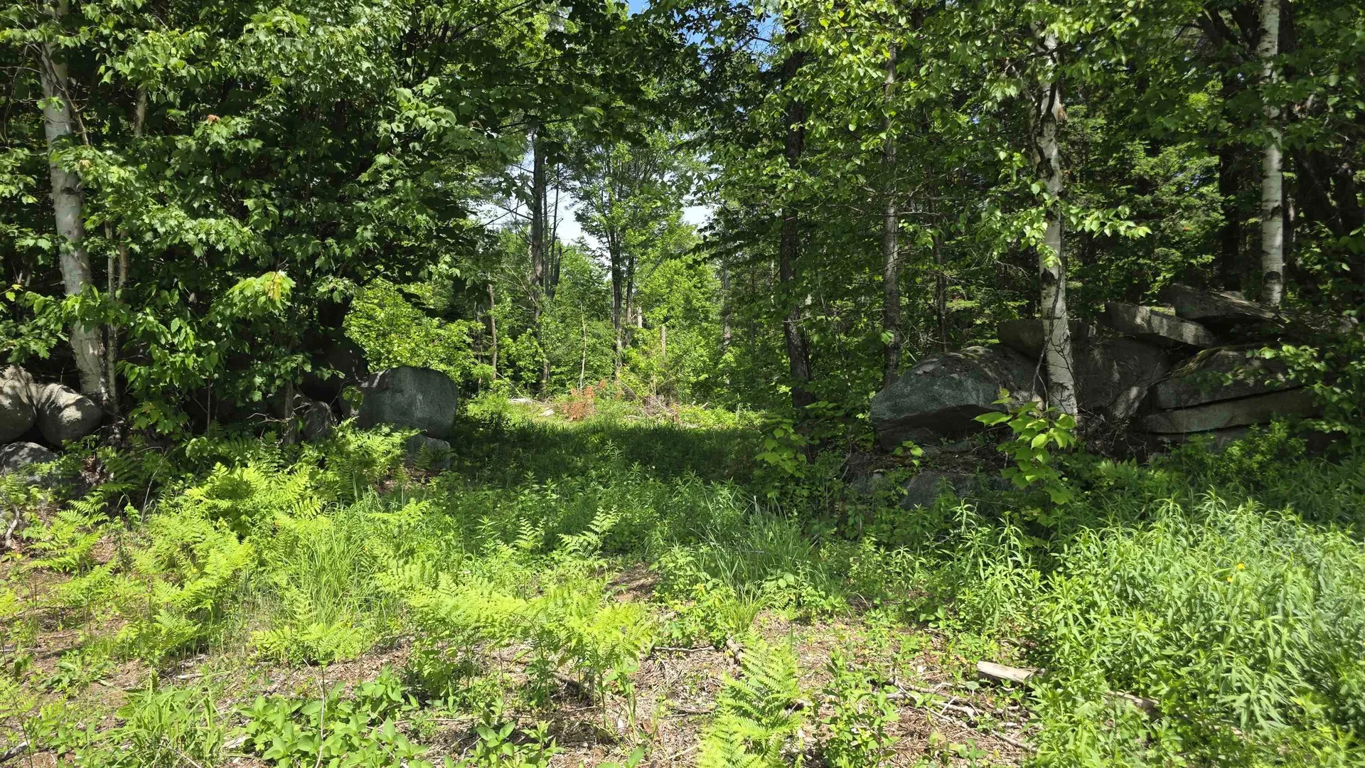 91 Venheim Road Lunenburg VT 05906