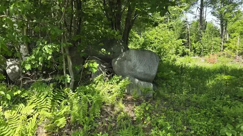 91 Venheim Road Lunenburg VT 05906