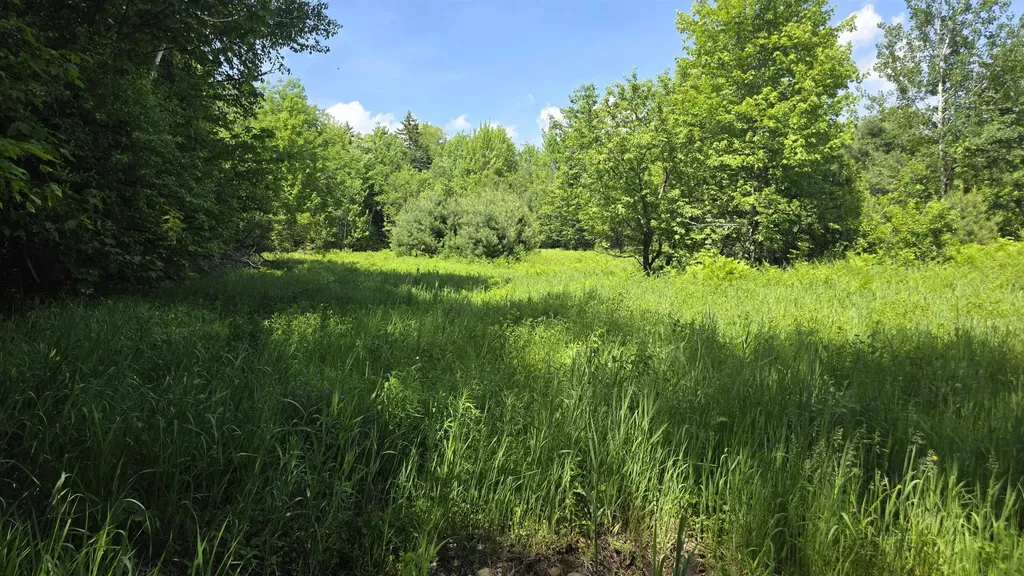 91 Venheim Road Lunenburg VT 05906