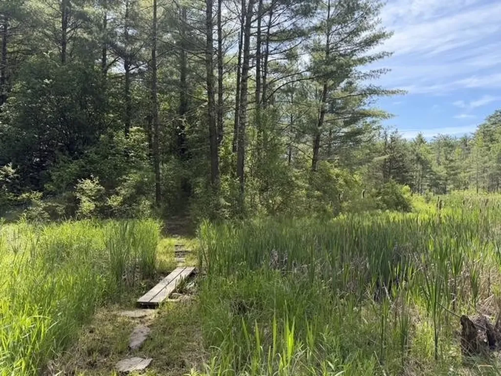 2516 Rotax Road Monkton VT 05469
