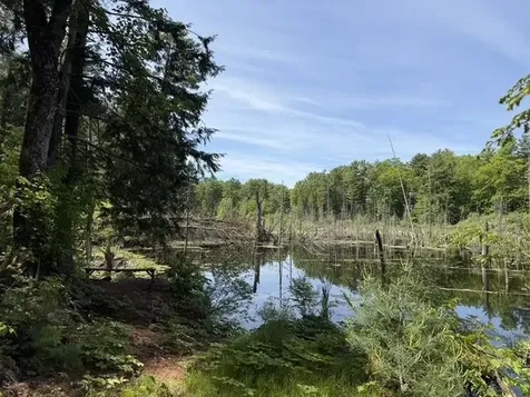 2516 Rotax Road Monkton VT 05469