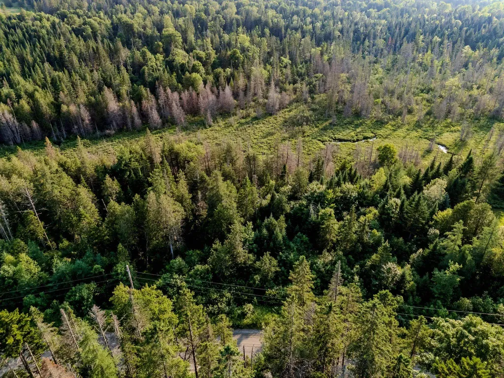 00 Watson Road Walden VT 05843
