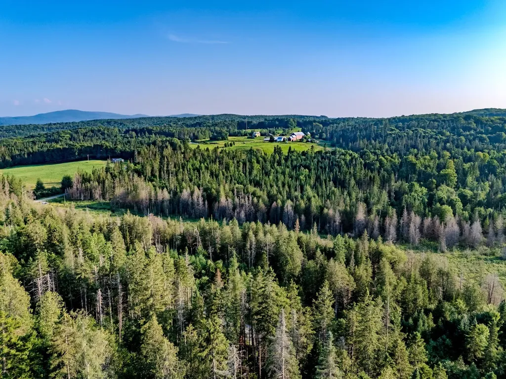 00 Watson Road Walden VT 05843