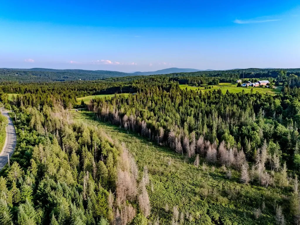 00 Watson Road Walden VT 05843