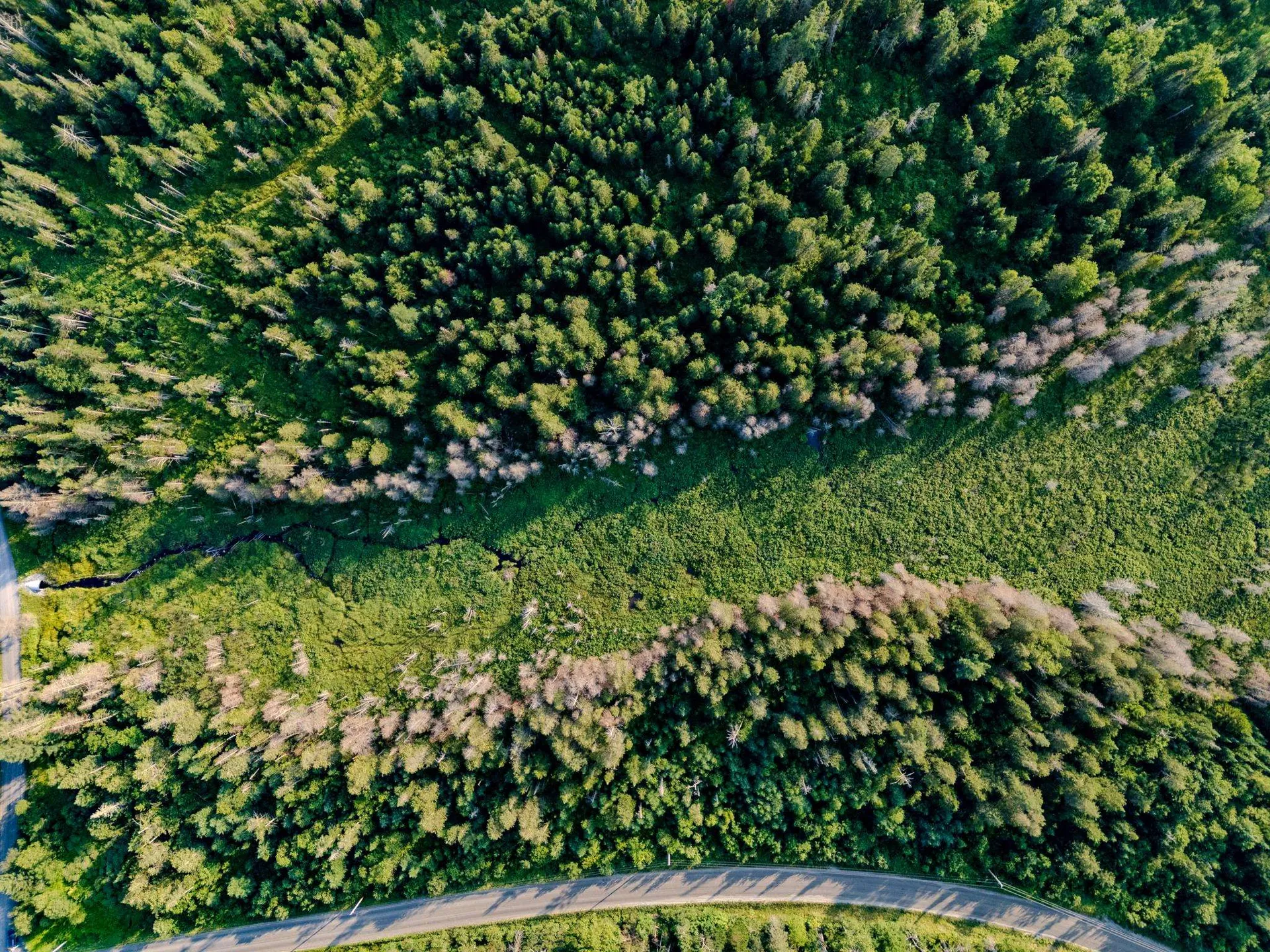 00 Watson Road Walden VT 05843